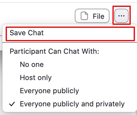 Save Chat located in the Options menu