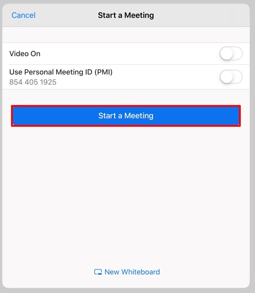 Video On and Use Personal ID options under Start a Meeting settings on iPad Zoom app