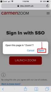 Open this page in Zoom dialogue box with Cancel or Open options